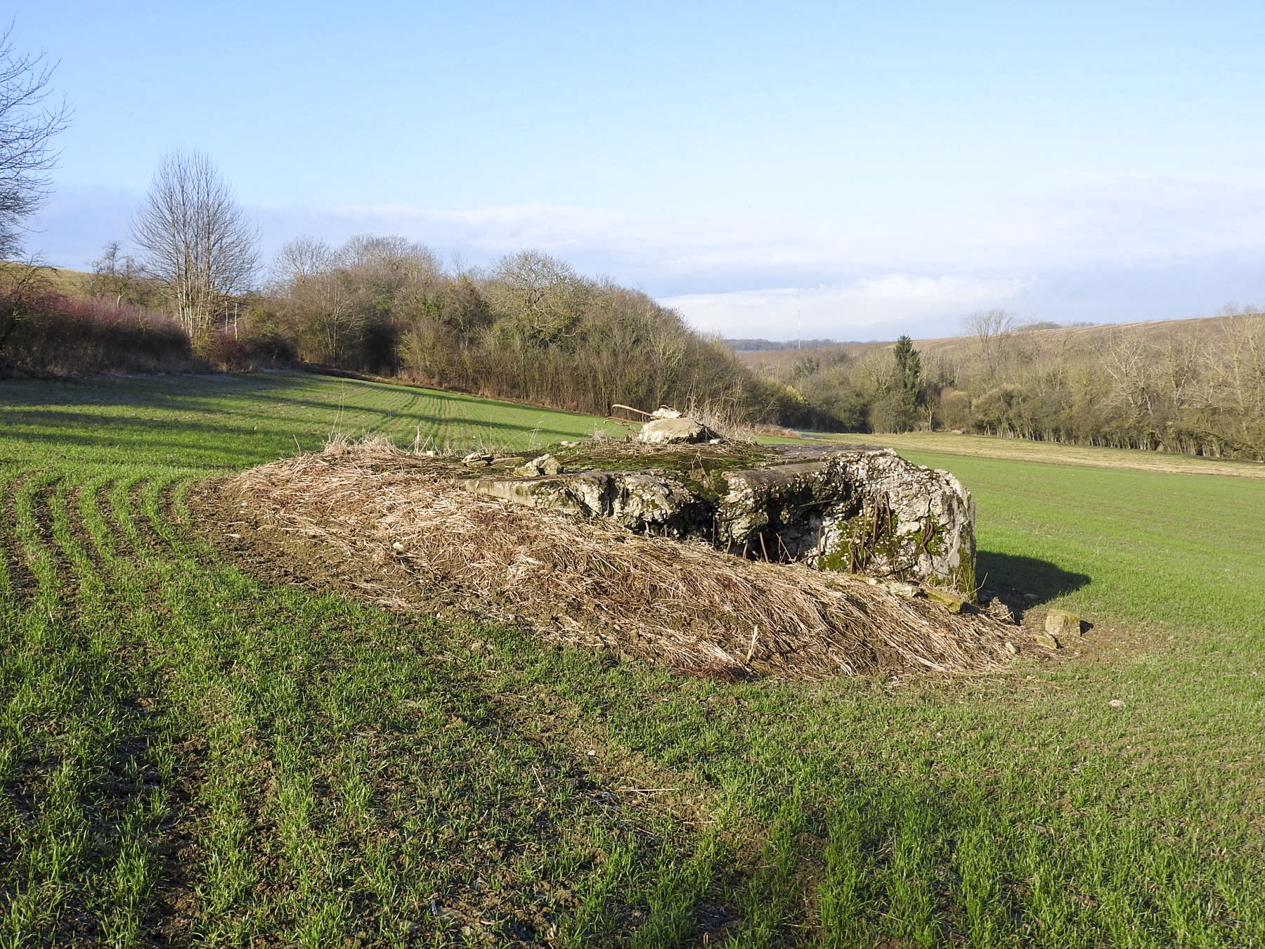 Ligne Maginot - BB149 - DORRWIESE 3 - (Blockhaus pour canon) -  - STENGER Mathieu