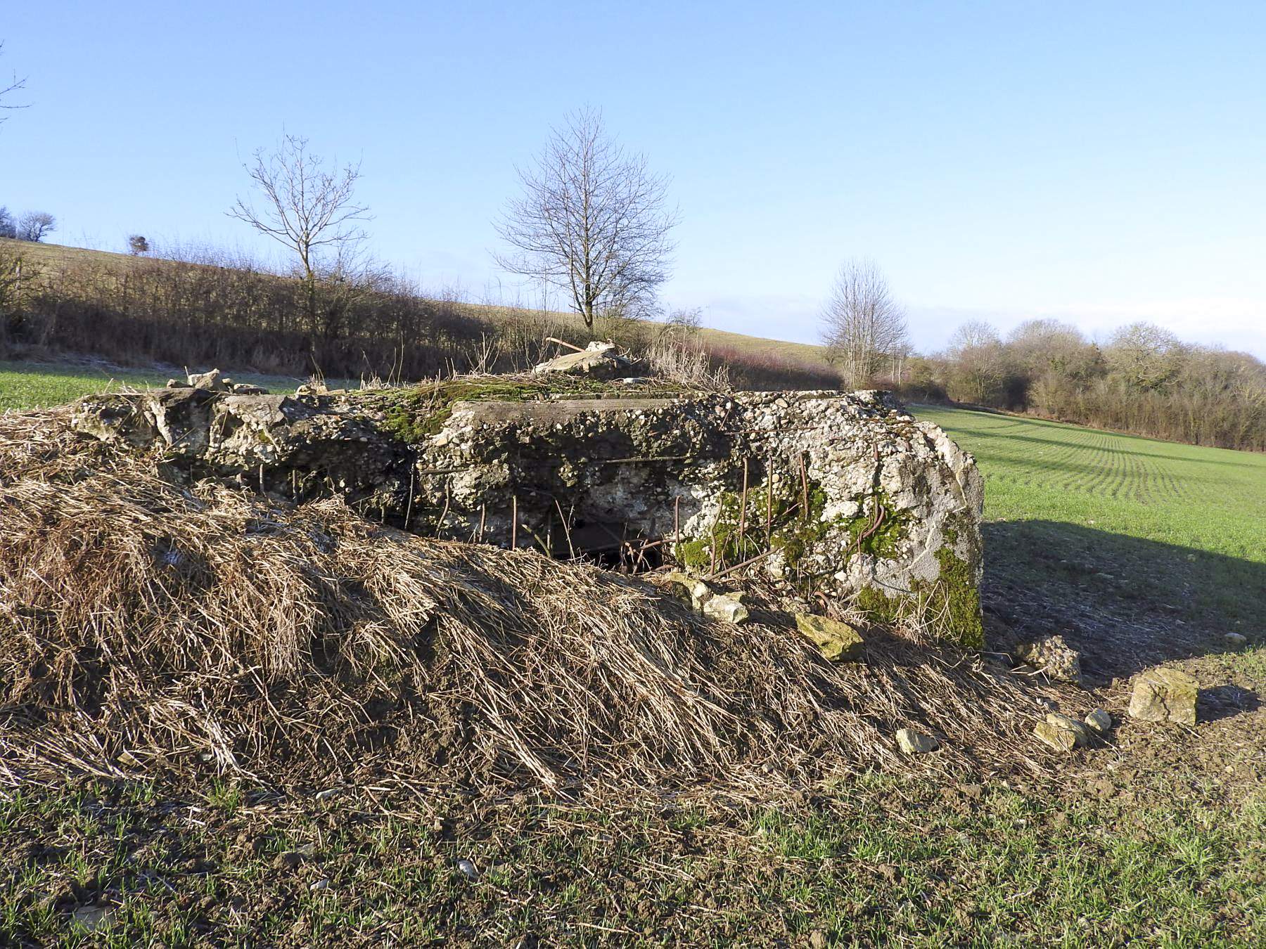 Ligne Maginot - BB149 - DORRWIESE 3 - (Blockhaus pour canon) - La façade de tir. - STENGER Mathieu