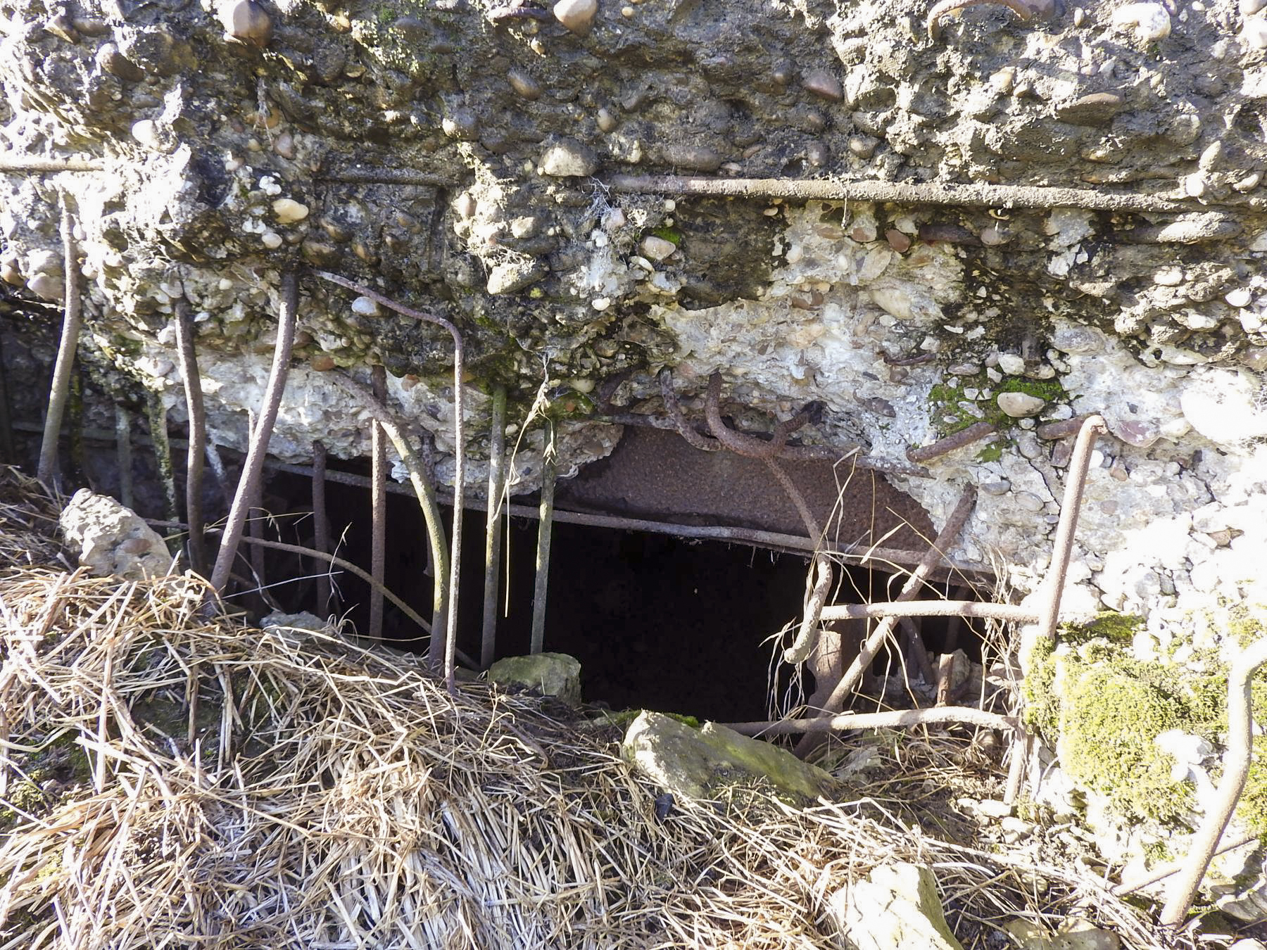 Ligne Maginot - BB149 - DORRWIESE 3 - (Blockhaus pour canon) - L'embrasure. - STENGER Mathieu