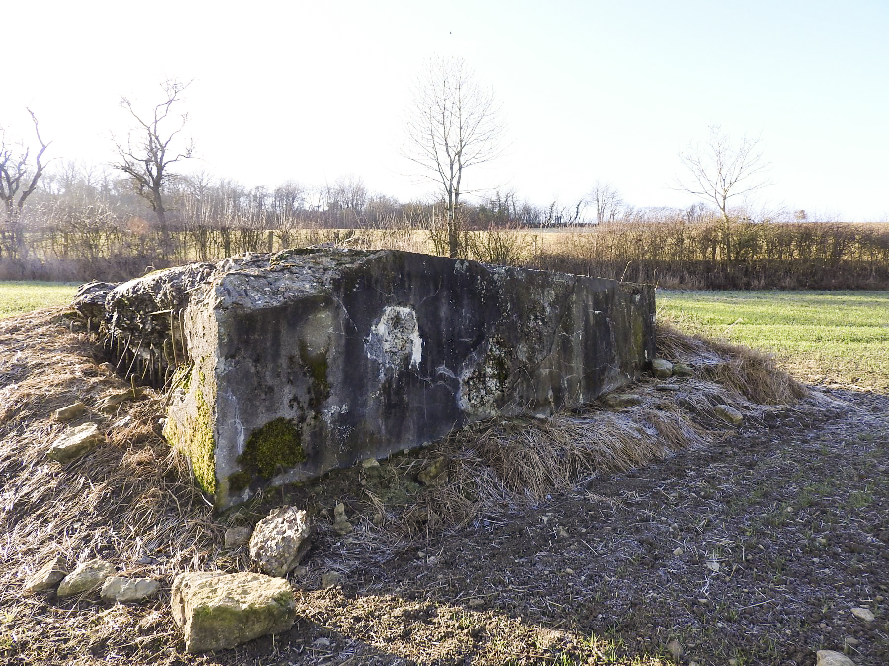 Ligne Maginot - BB149 - DORRWIESE 3 - (Blockhaus pour canon) -  - STENGER Mathieu