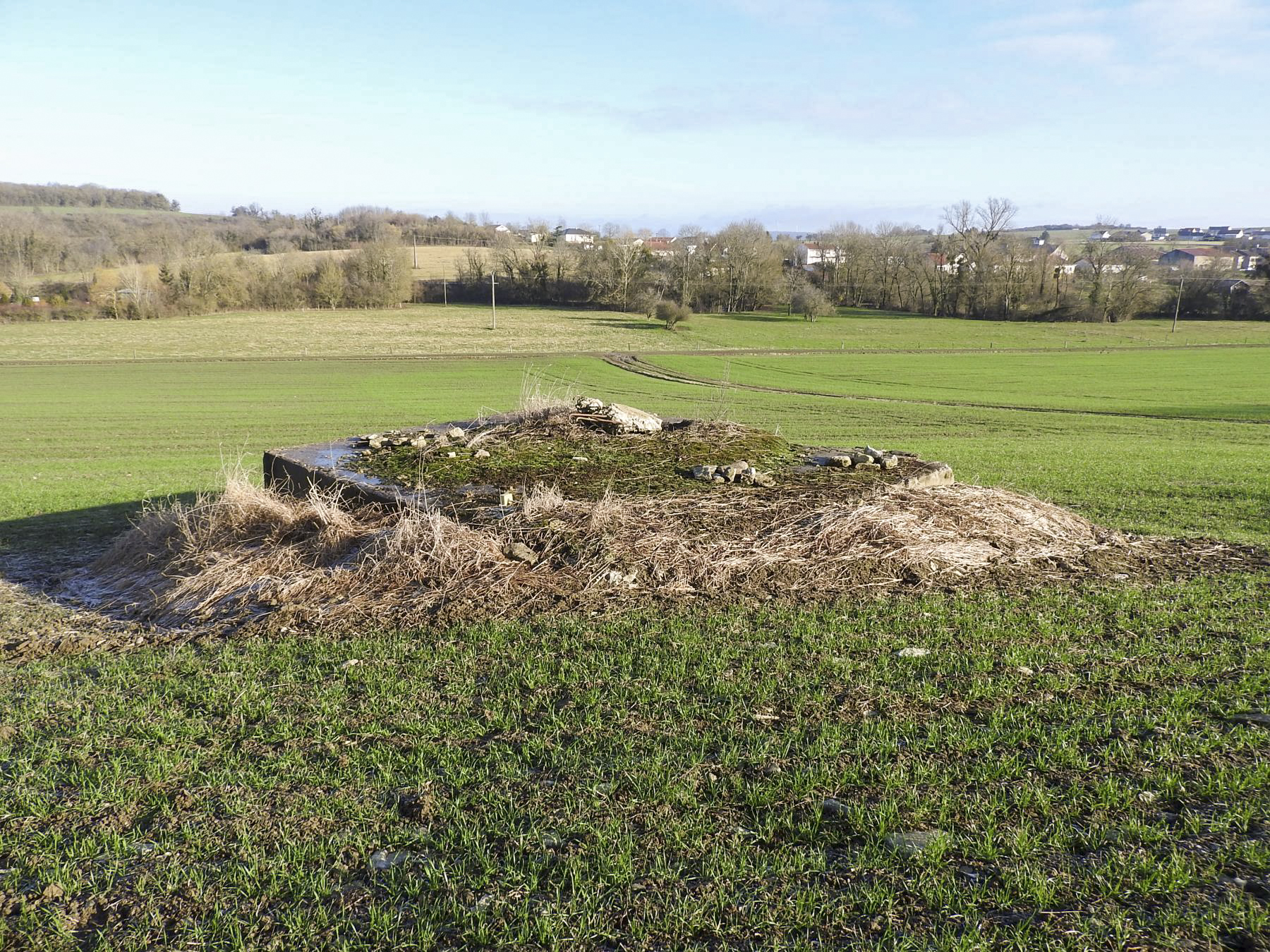 Ligne Maginot - BB149 - DORRWIESE 3 - (Blockhaus pour canon) - Les entrées sont totalement remblayées. - STENGER Mathieu