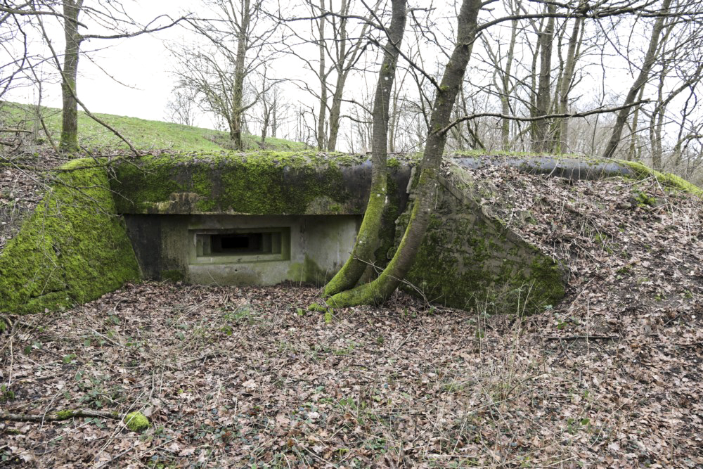 Ligne Maginot - M129 - NACHTWEID 1 - (Blockhaus pour arme infanterie) - Embrasure en direction de la route du Nord, venant de Rech - Alain Perouffe