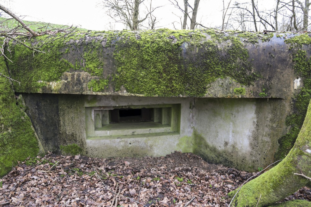 Ligne Maginot - M129 - NACHTWEID 1 - (Blockhaus pour arme infanterie) - Embrasure en direction de la route du Nord, venant de Rech - Alain Perouffe