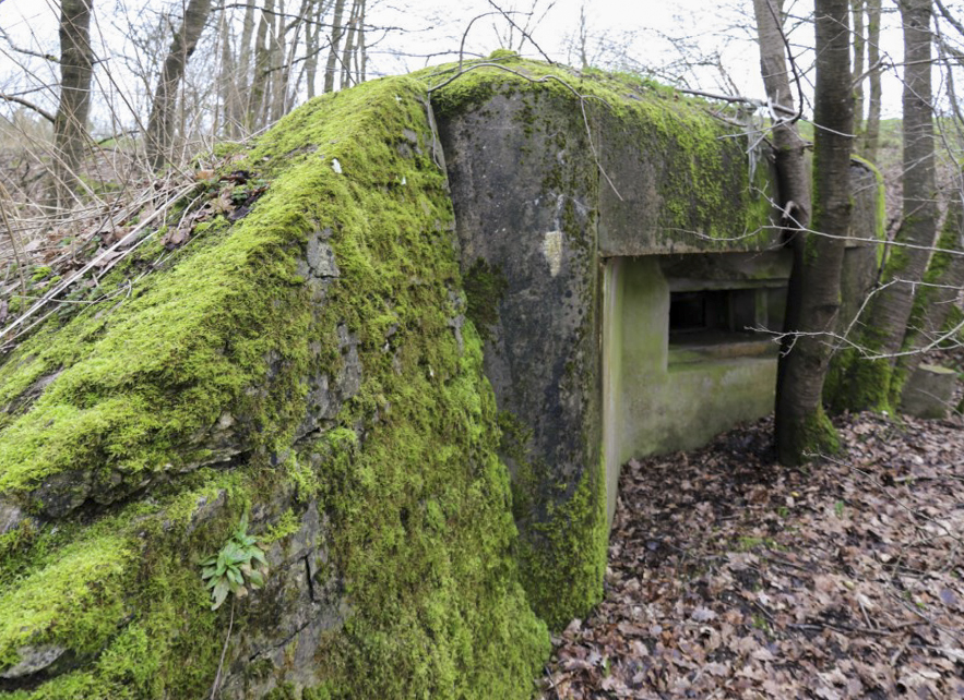 Ligne Maginot - M129 - NACHTWEID 1 - (Blockhaus pour arme infanterie) - Embrasure mitrailleuse en direction de l'inondation de l'Albe et des blockhaus du Mittenwald - Alain Perouffe