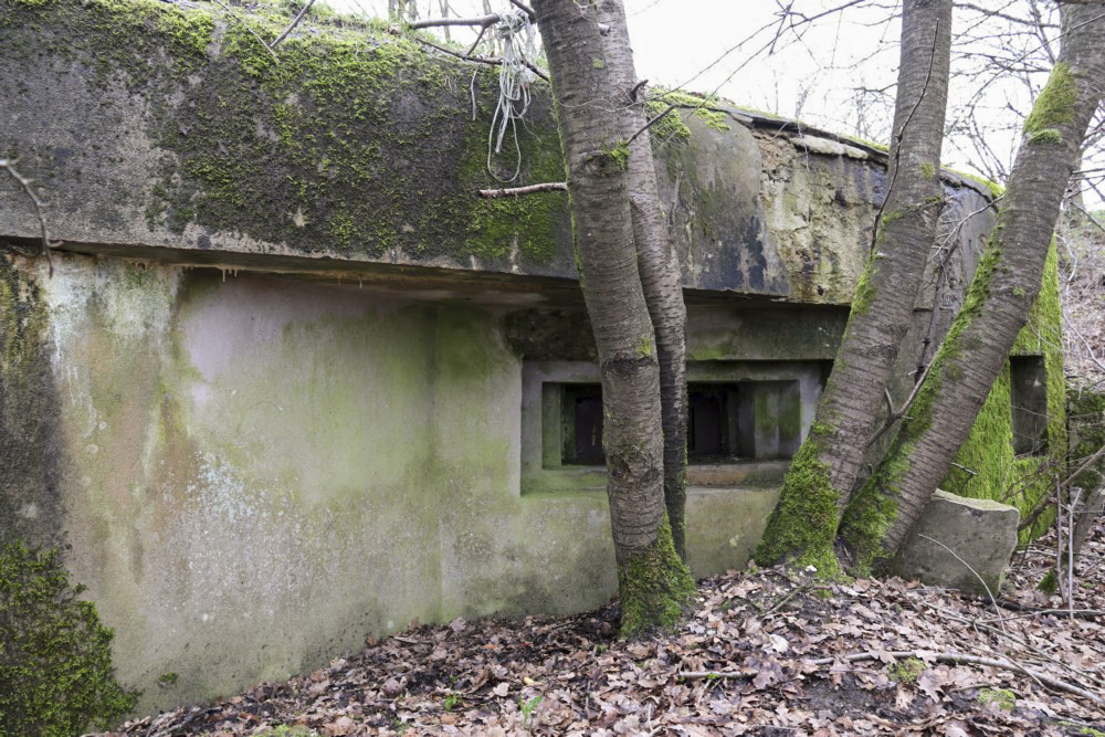 Ligne Maginot - M129 - NACHTWEID 1 - (Blockhaus pour arme infanterie) - Embrasure mitrailleuse en direction de l'inondation de l'Albe et des blockhaus du Mittenwald - Alain Perouffe