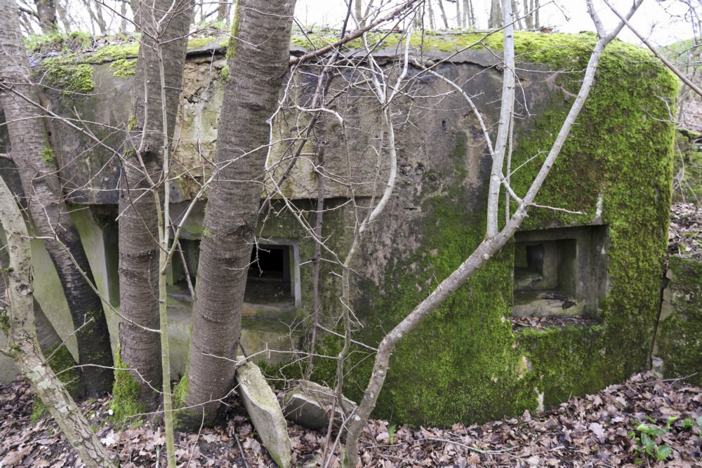 Ligne Maginot - M129 - NACHTWEID 1 - (Blockhaus pour arme infanterie) - Créneau FM en direction du talus de la voie ferrée et du passage du ruisseau de la Rose - Alain Perouffe