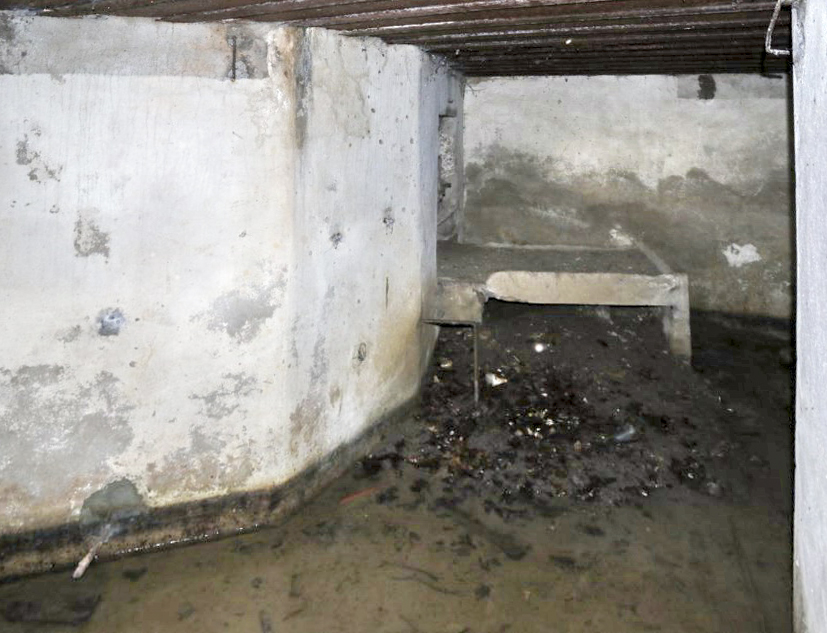 Ligne Maginot - M129 - NACHTWEID 1 - (Blockhaus pour arme infanterie) -  - Alain Perouffe