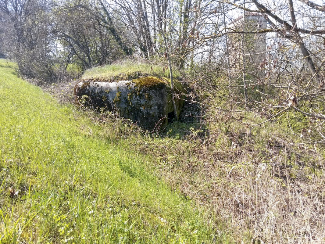 Ligne Maginot - PONT DU LANGENTHAL NORD - (Blockhaus pour arme infanterie) -  - Jin Jac