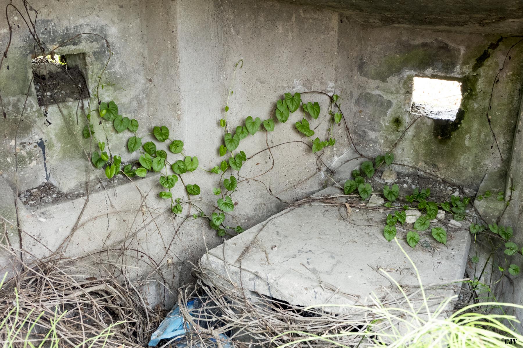 Ligne Maginot - SALTZBRONN OUEST - (Blockhaus pour arme infanterie) -  - Lia VERMEULEN