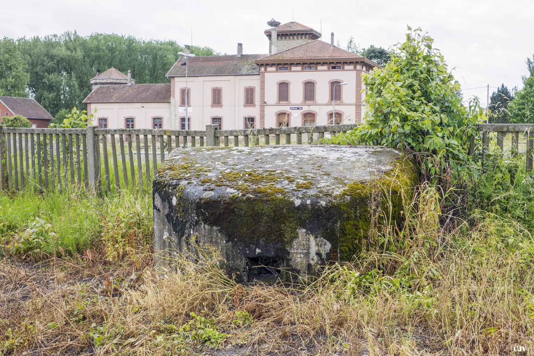 Ligne Maginot - SALTZBRONN OUEST - (Blockhaus pour arme infanterie) -  - Lia VERMEULEN