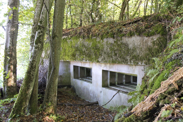 Ligne Maginot - SCHLOSSWALD 4 - (Blockhaus pour arme infanterie) - Créneaux mitrailleuses - Christian LENHARD