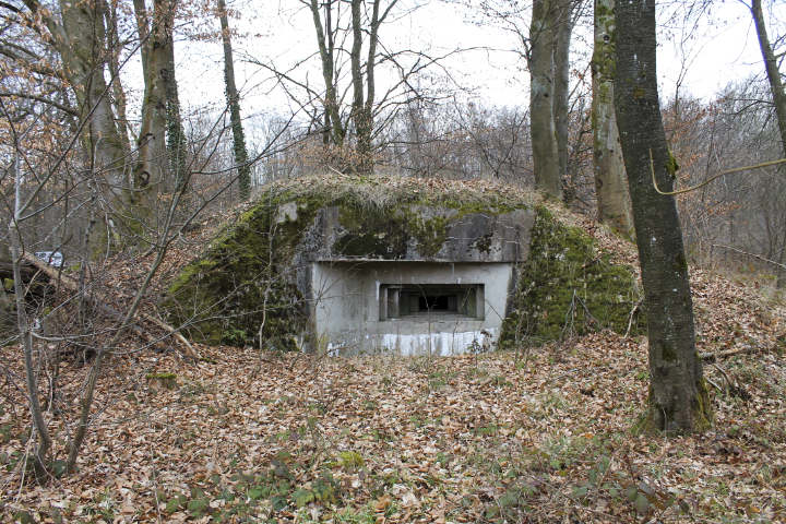 Ligne Maginot - SCHLOSSWALD 1 - (Blockhaus pour arme infanterie) - Façade de tir mitrailleuse - Christian LENHARD
