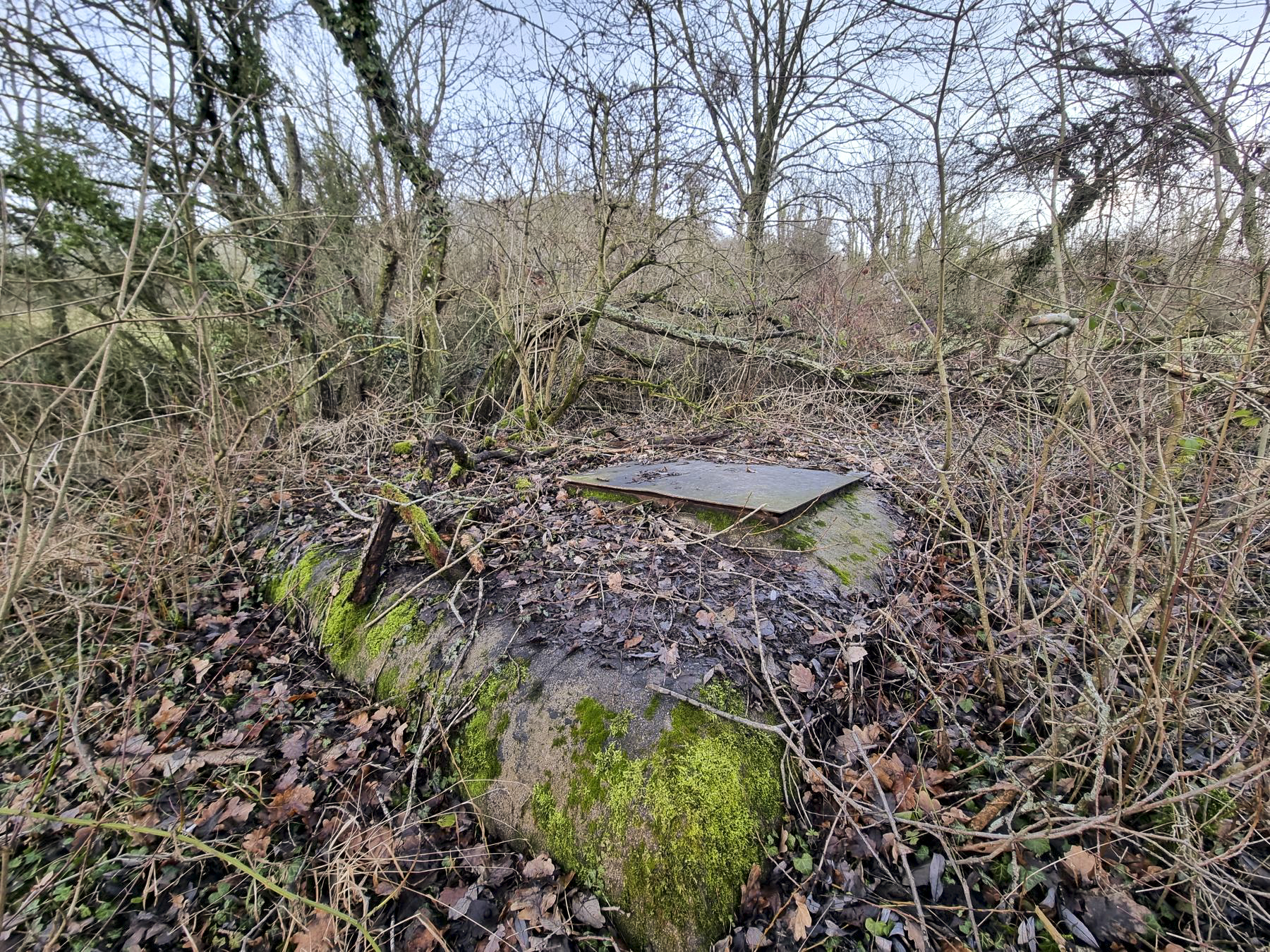 Ligne Maginot - 45T - (Chambre de coupure) - Vue globale de la chambre de coupure - DK_Antoine4