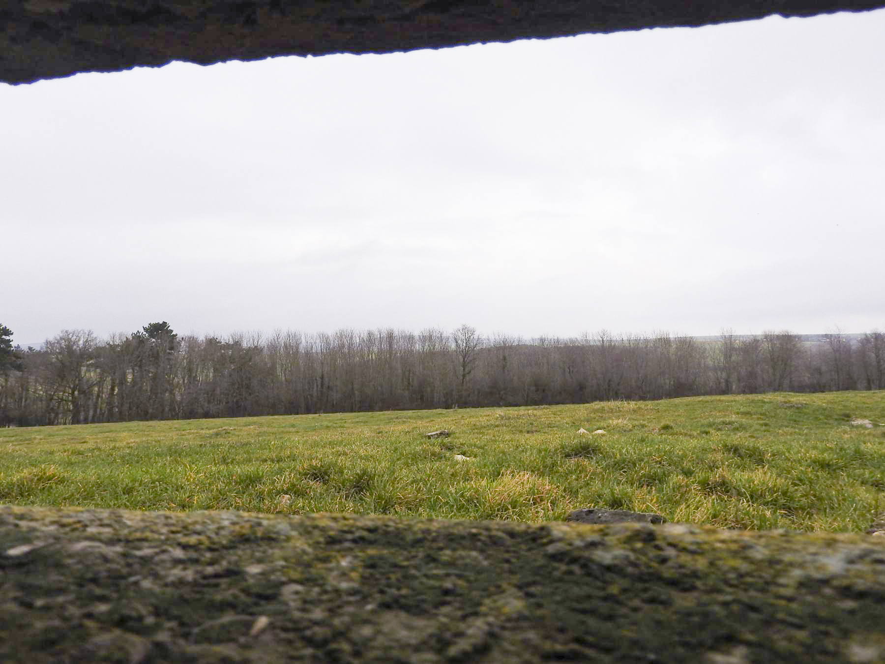 Ligne Maginot - BB17 - FERME HENRY SUD - (Observatoire d'artillerie) - La vue depuis l'observatoire. - STENGER Mathieu
