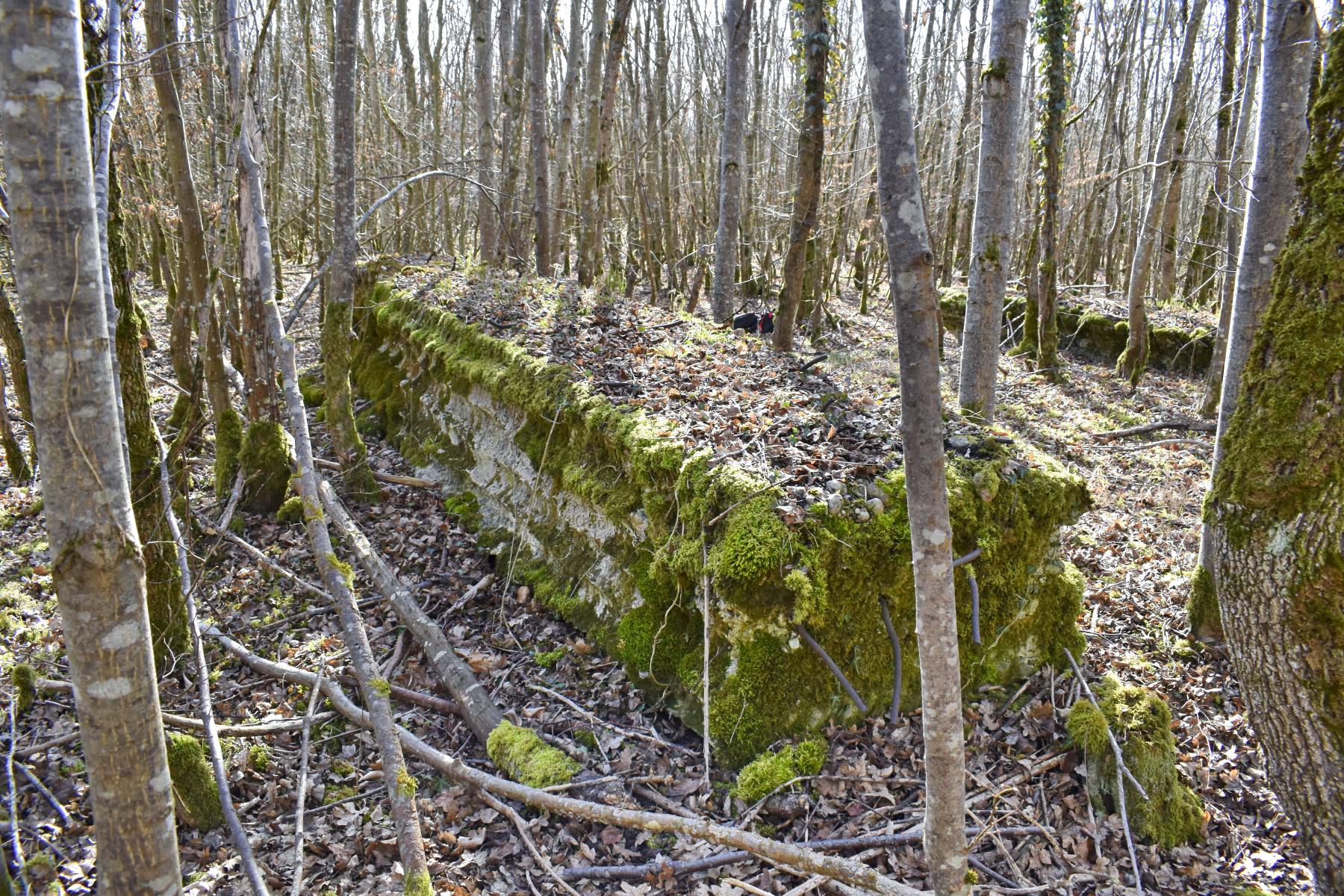 Ligne Maginot - GUSTAVE - (Position d'artillerie préparée) - Pan de mur Ouest - Daniel Froehly