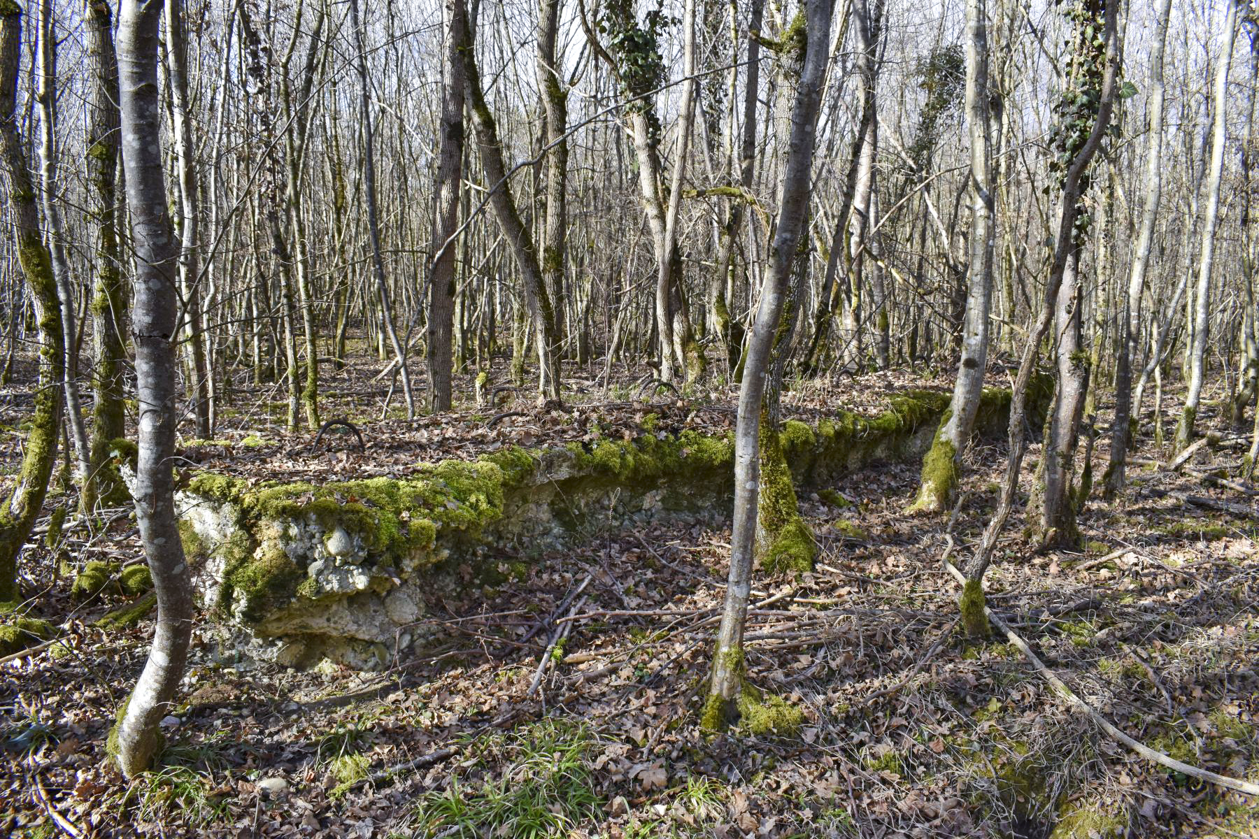 Ligne Maginot - GUSTAVE - (Position d'artillerie préparée) - Pan de mur Est - Daniel Froehly