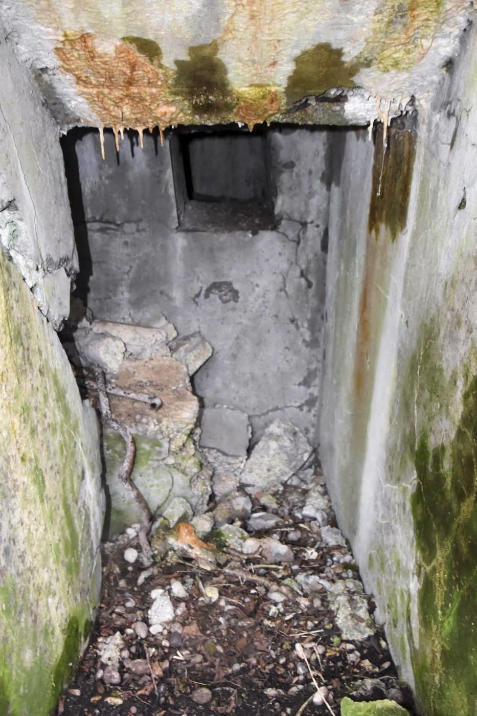Ligne Maginot - BAERENRAIN 2 - (Abri) - Entrée sud avec le créneau de défense. - Daniel Froehly