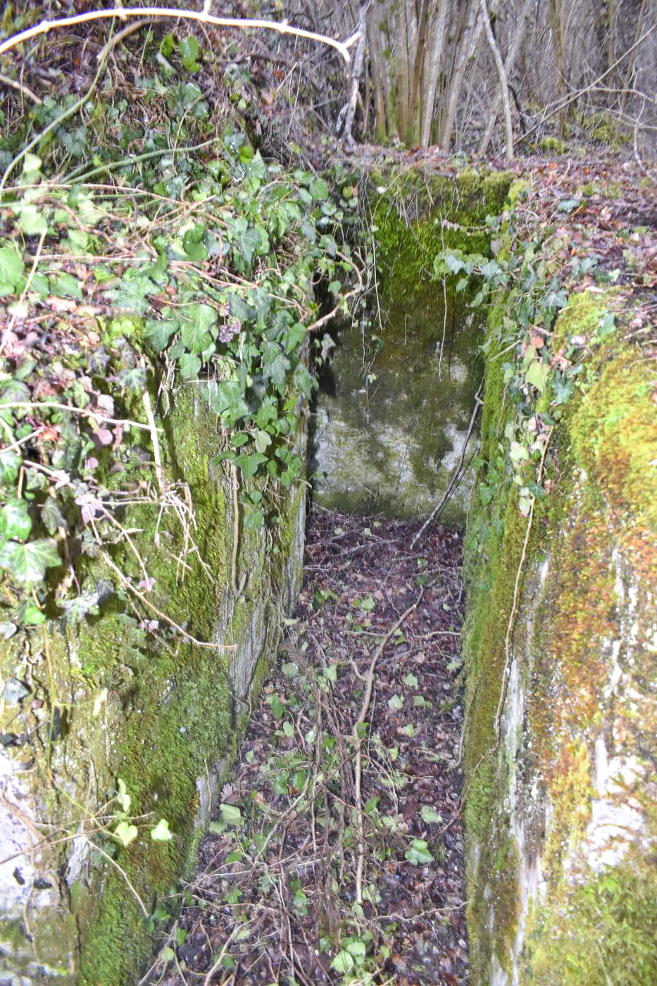 Ligne Maginot - BAERENRAIN 2 - (Abri) - Entrée nord. - Daniel Froehly