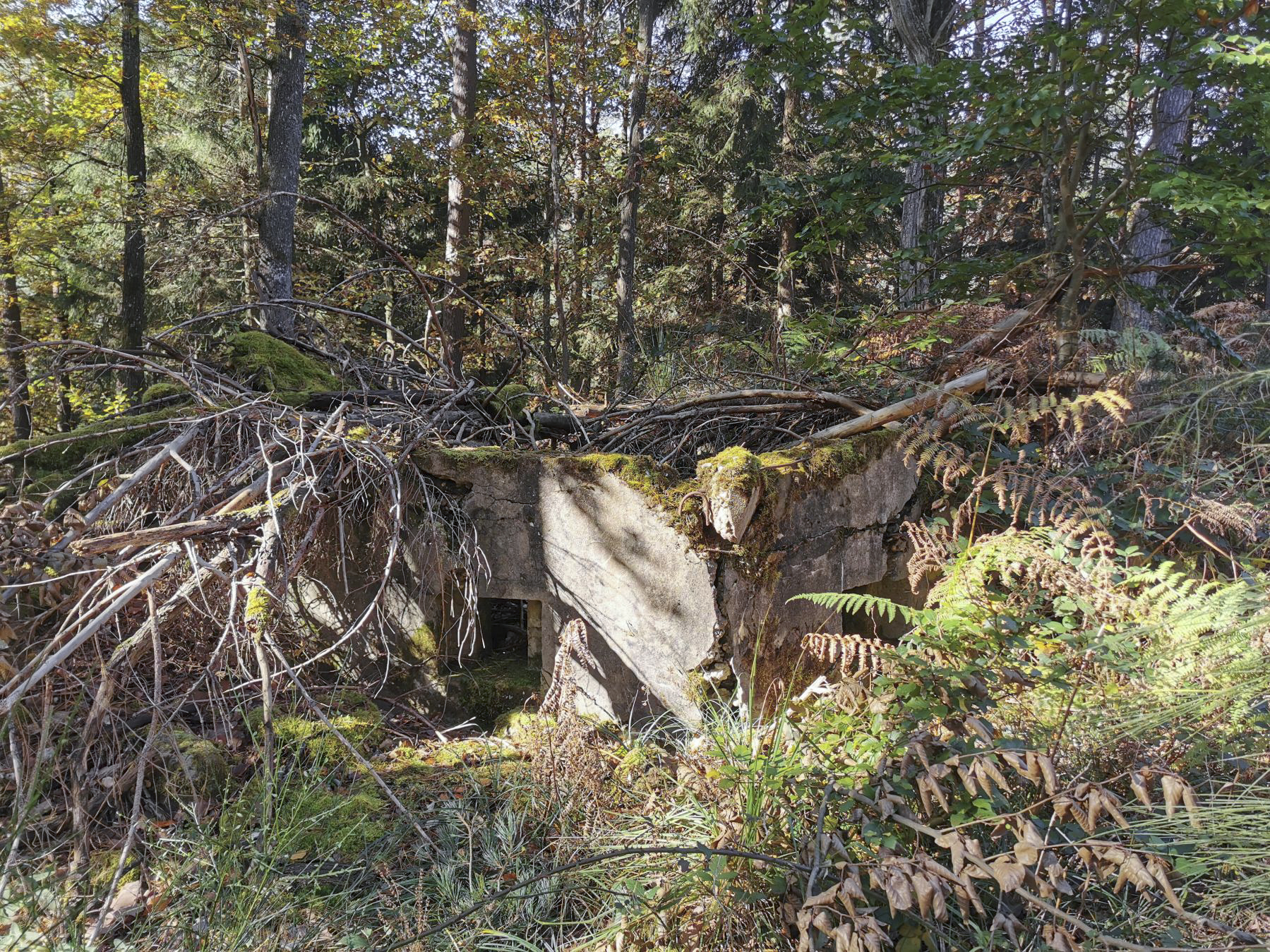 Ligne Maginot - FM92 - JAEGERTHAL 2 - (Blockhaus pour arme infanterie) -  - Jürgen Morr