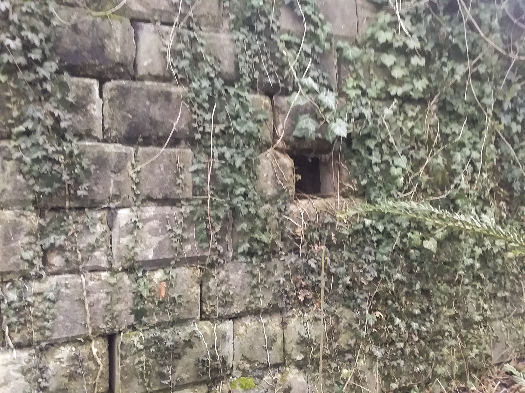 Ligne Maginot - 32/3 - RICHTOLSHEIM - (Casemate d'infanterie - Double) -  - Joel Muntzinger