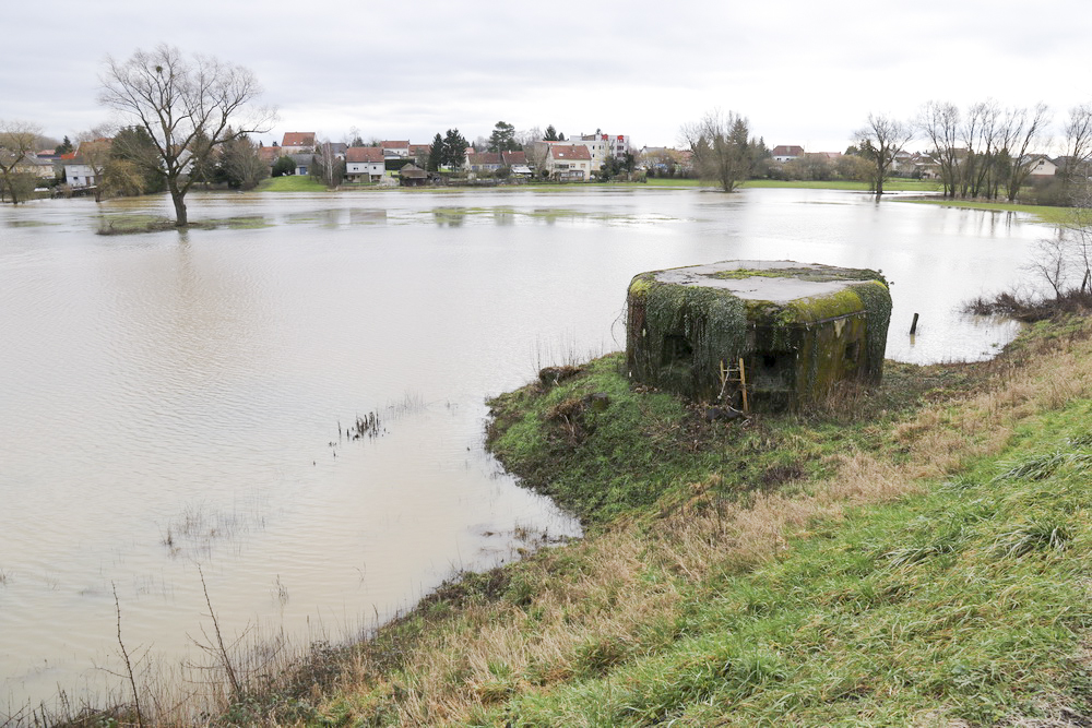 Ligne Maginot - SARRALBE BARRAGE SUD - (Blockhaus pour arme infanterie) - Le blockhaus et l'inondation de l'Albe, vue probablement très proche de la situation en 1940 - Alain Perouffe