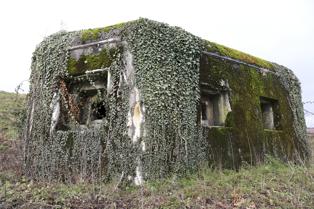 Ligne Maginot - SARRALBE BARRAGE SUD - (Blockhaus pour arme infanterie) -  - Alain Perouffe
