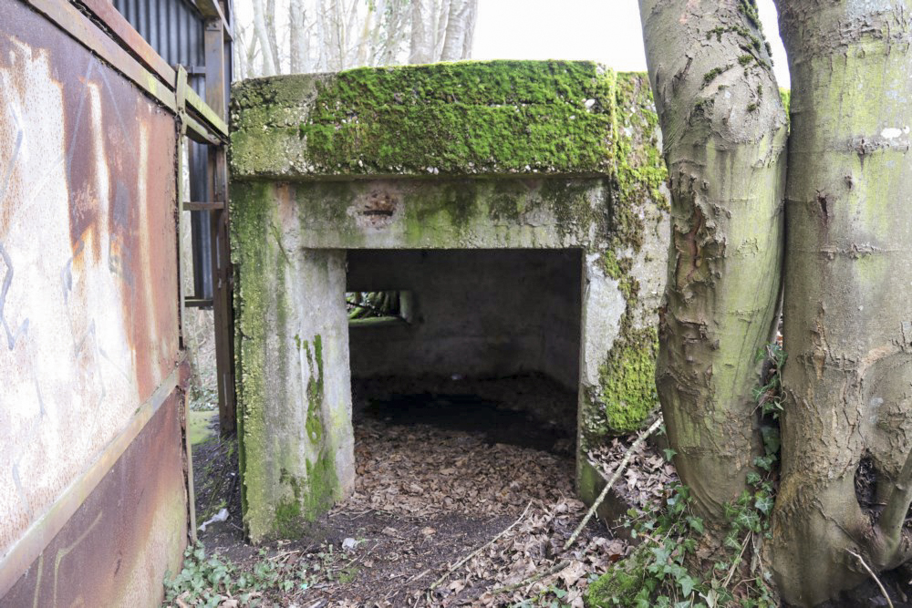 Ligne Maginot - SARRALBE CANAL 2 - (Blockhaus pour arme infanterie) - Grand accès (pour petit canon ?) - Alain Perouffe