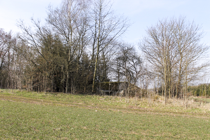 Ligne Maginot - SCHLOSSWALD 2 - (Blockhaus pour arme infanterie) - Vue générale - Christian LENHARD