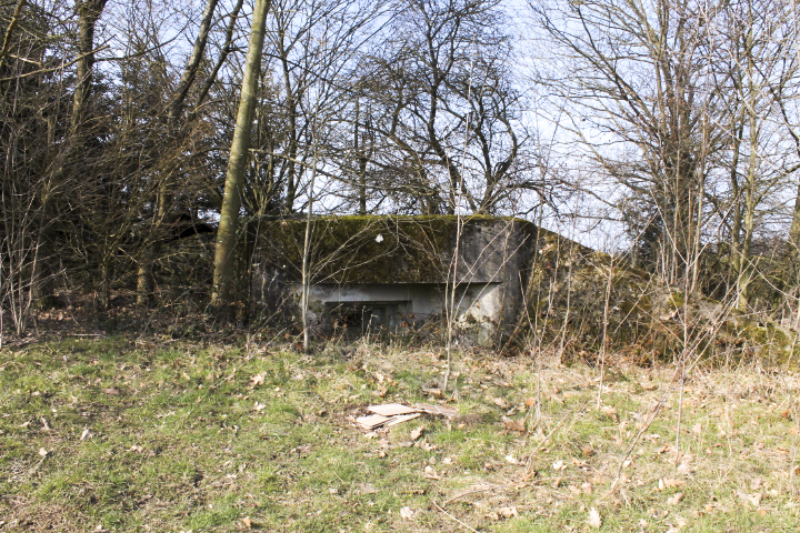 Ligne Maginot - SCHLOSSWALD 2 - (Blockhaus pour arme infanterie) -  - Christian LENHARD