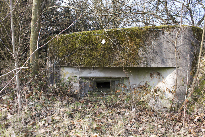 Ligne Maginot - SCHLOSSWALD 2 - (Blockhaus pour arme infanterie) - Façade de tir Est - Christian LENHARD