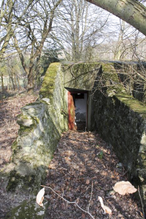 Ligne Maginot - SCHLOSSWALD 2 - (Blockhaus pour arme infanterie) - Chemin d'accès - Christian LENHARD