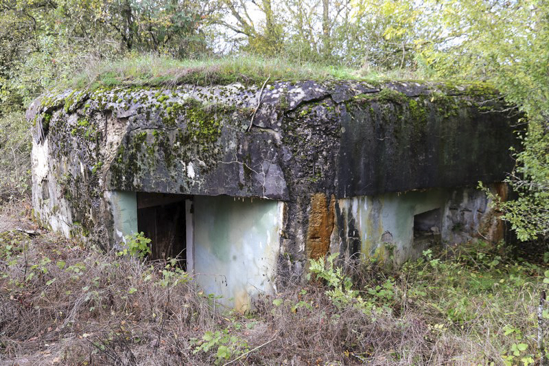 Ligne Maginot - SCHWANDELWALD 1 - (Blockhaus pour arme infanterie) - Vue de la voie ferrée - Alain Perouffe