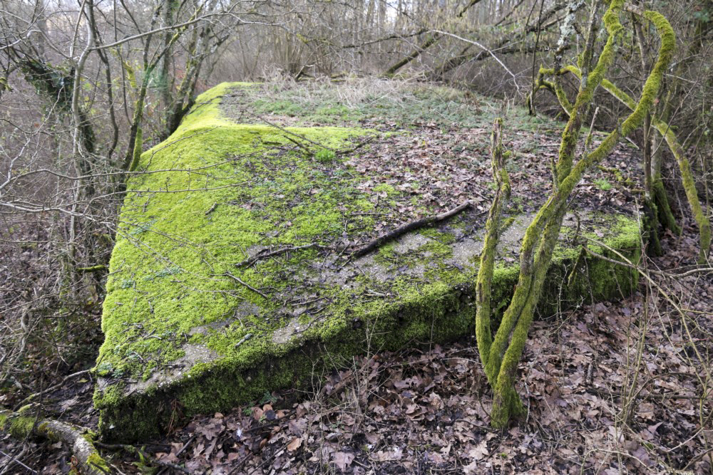 Ligne Maginot - SCHWANDELWALD 2 - (Abri) -  - Alain Perouffe