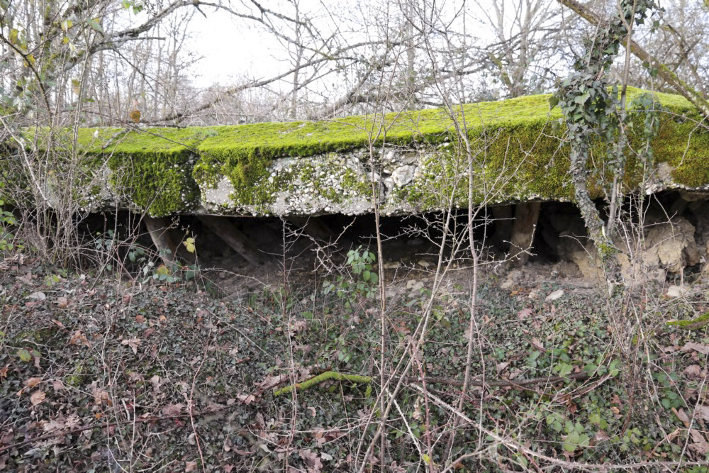 Ligne Maginot - SCHWANDELWALD 2 - (Abri) -  - Alain Perouffe