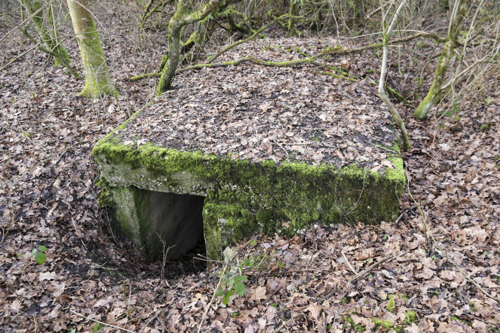 Ligne Maginot - SCHWANDELWALD 4 - (Cuve pour arme d'infanterie) - Abri contigu à la cuve - Alain Perouffe