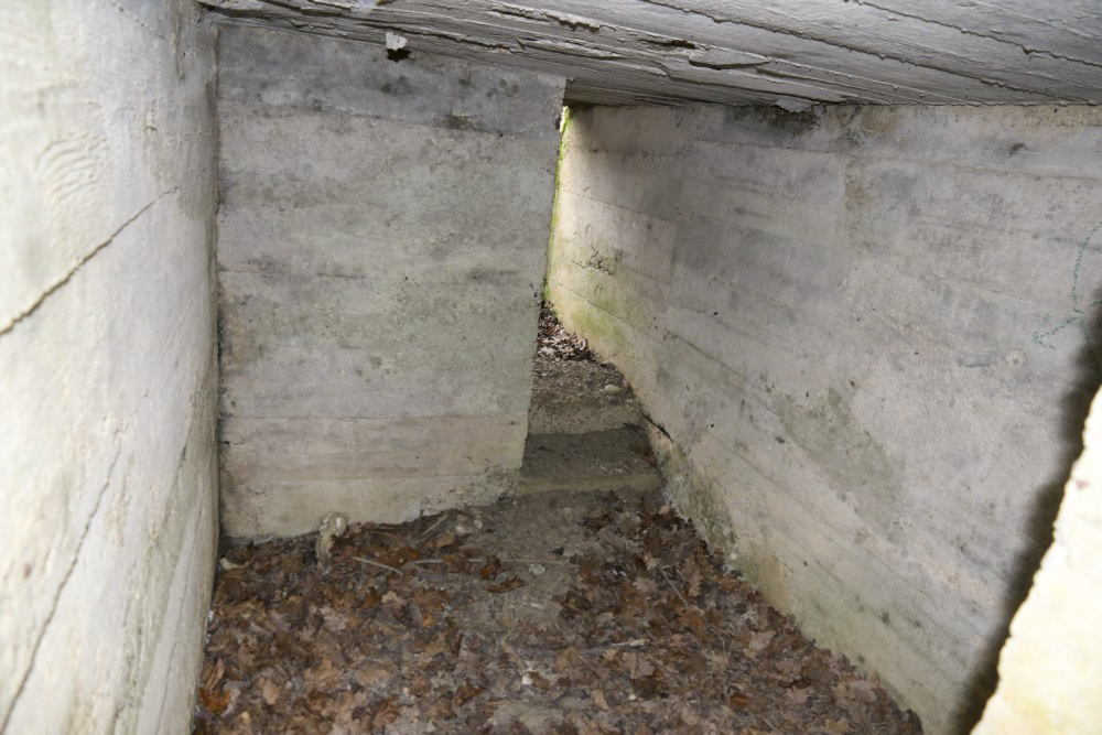 Ligne Maginot - SCHWANDELWALD 4 - (Cuve pour arme d'infanterie) - Abri contigu à la cuve - Alain Perouffe