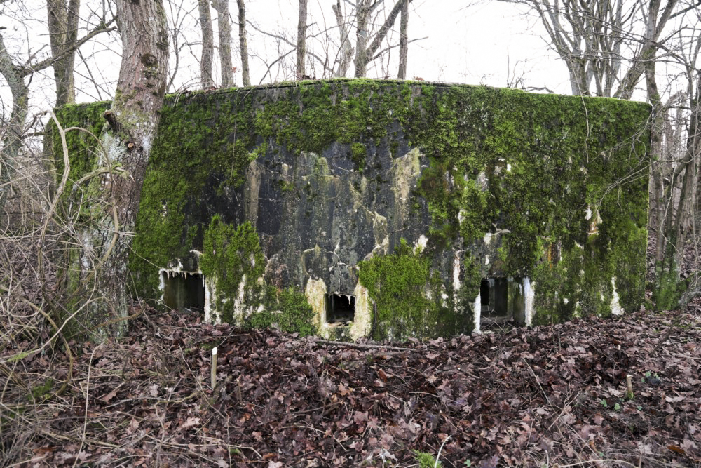 Ligne Maginot - Blockhaus SCHWANDELWALD 5 - Façade.
2 FM et 1 observatoire - Alain Perouffe