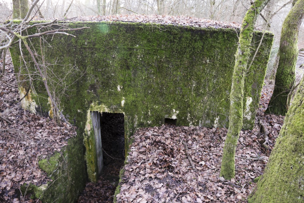 Ligne Maginot - Blockhaus SCHWANDELWALD 5 - Entrée est - Alain Perouffe