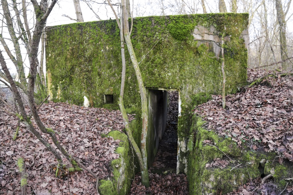 Ligne Maginot - Blockhaus SCHWANDELWALD 5 - Entrée ouest - Alain Perouffe