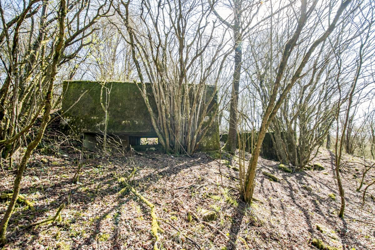 Ligne Maginot - COTE 294 - (Blockhaus pour canon) -  - Christian LENHARD