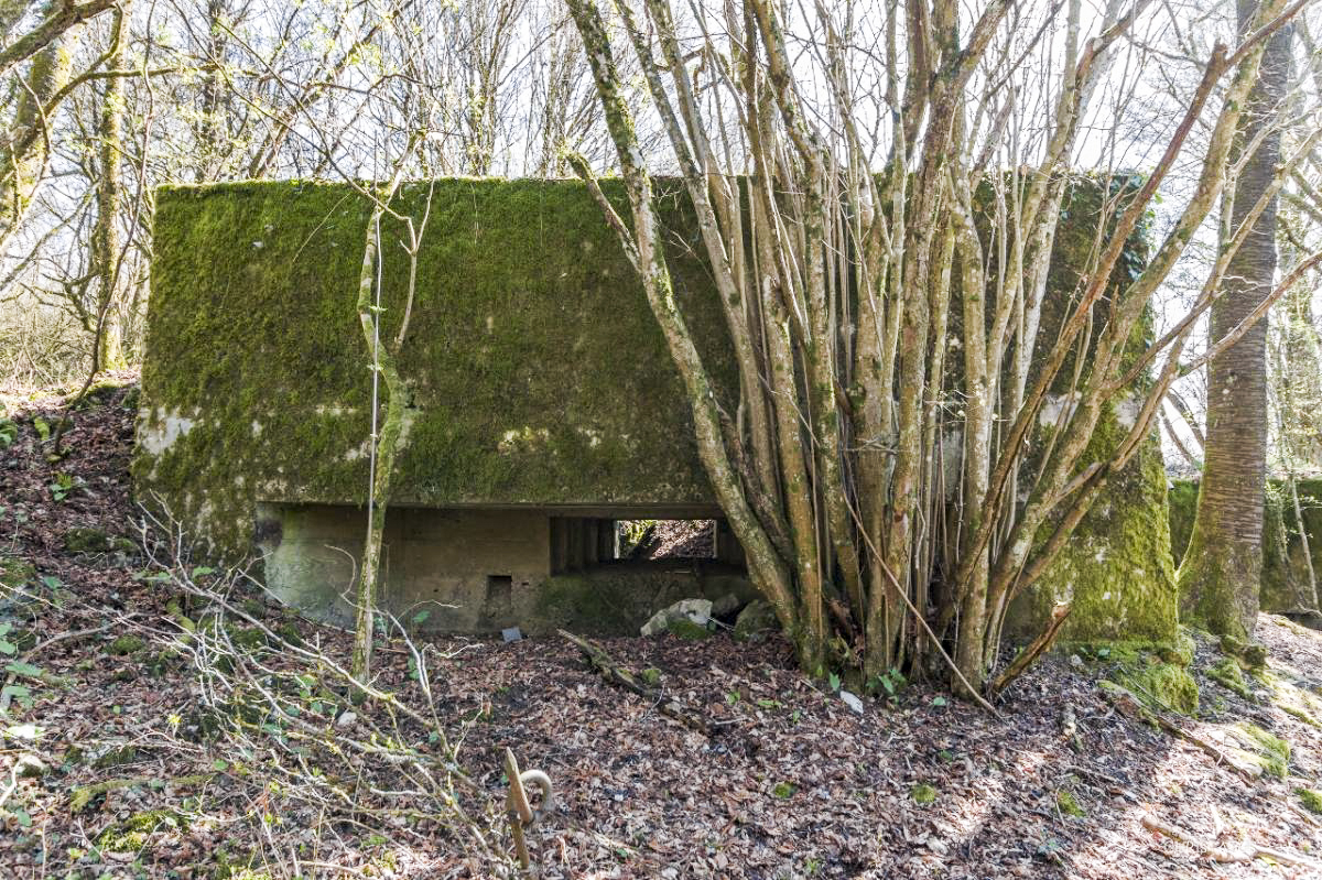 Ligne Maginot - COTE 294 - (Blockhaus pour canon) -  - Christian LENHARD