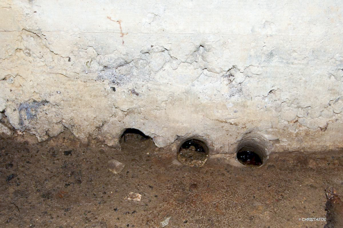Ligne Maginot - COTE 294 - (Blockhaus pour canon) -  - Christian LENHARD