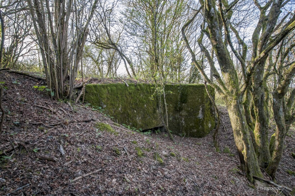 Ligne Maginot - COTE 294BIS - (Blockhaus pour arme infanterie) -  - Christian LENHARD