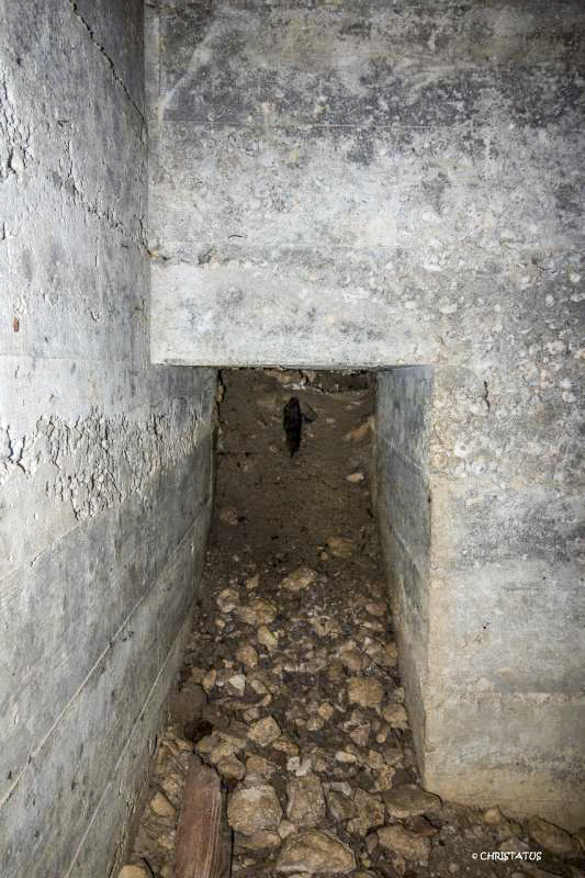 Ligne Maginot - COTE 294BIS - (Blockhaus pour arme infanterie) - Sortie du coté de la tranchée - Christian LENHARD