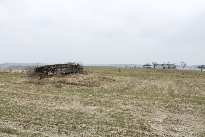 Ligne Maginot - COTE 321 - (Observatoire d'infanterie) - Vue générale - Christian LENHARD