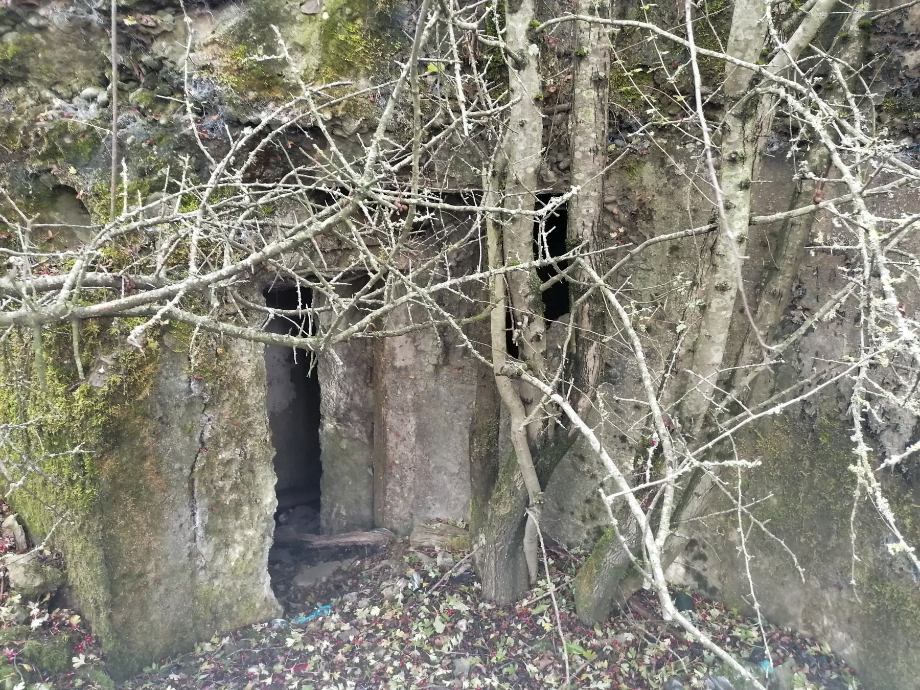 Ligne Maginot - DEHLINGEN NORD - (Central téléphonique d'observation) - Le central d'observation cote entrées - Dominique DISS