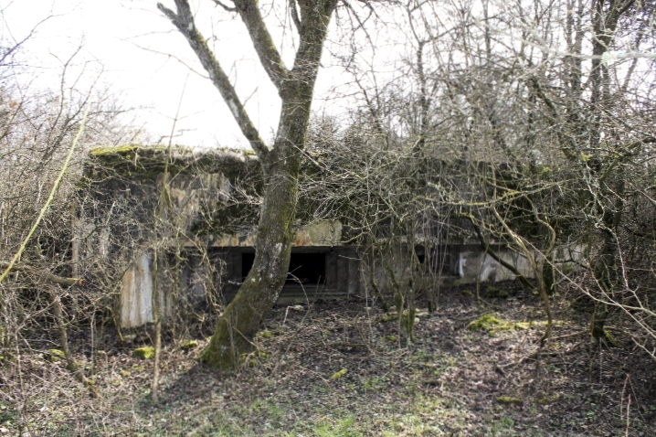 Ligne Maginot - DERCHENBRONN - (Blockhaus pour canon) - Façade de tir ouest - Christian LENHARD