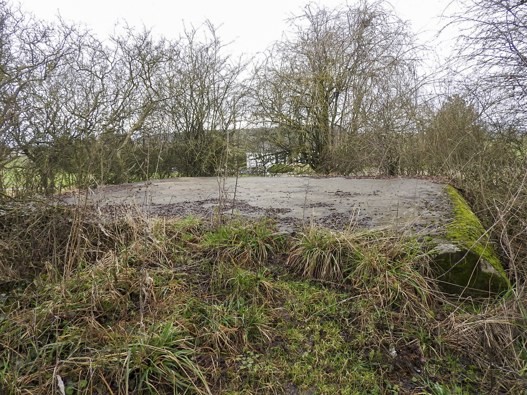 Ligne Maginot - BB25-B - WINDBERG - MAYA - (Blockhaus pour arme infanterie) - La dalle supérieur du blockhaus.
Hormis la façade arrière il est remblayé. - STENGER Mathieu