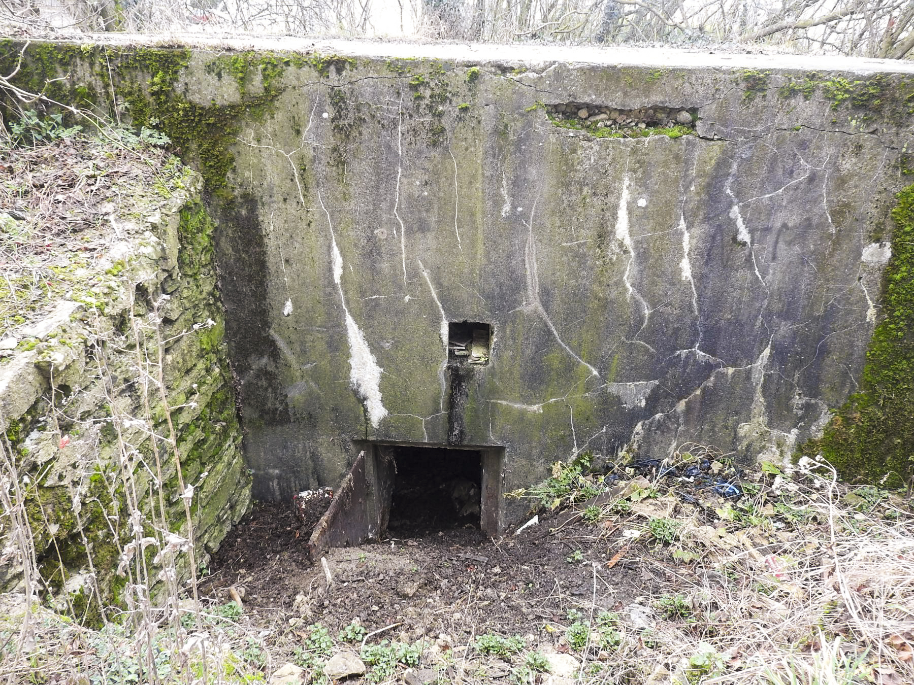 Ligne Maginot - BB25-B - WINDBERG - MAYA - (Blockhaus pour arme infanterie) - La façade arrière avec l'entrée, seule partie encore visible du blockhaus. - STENGER Mathieu