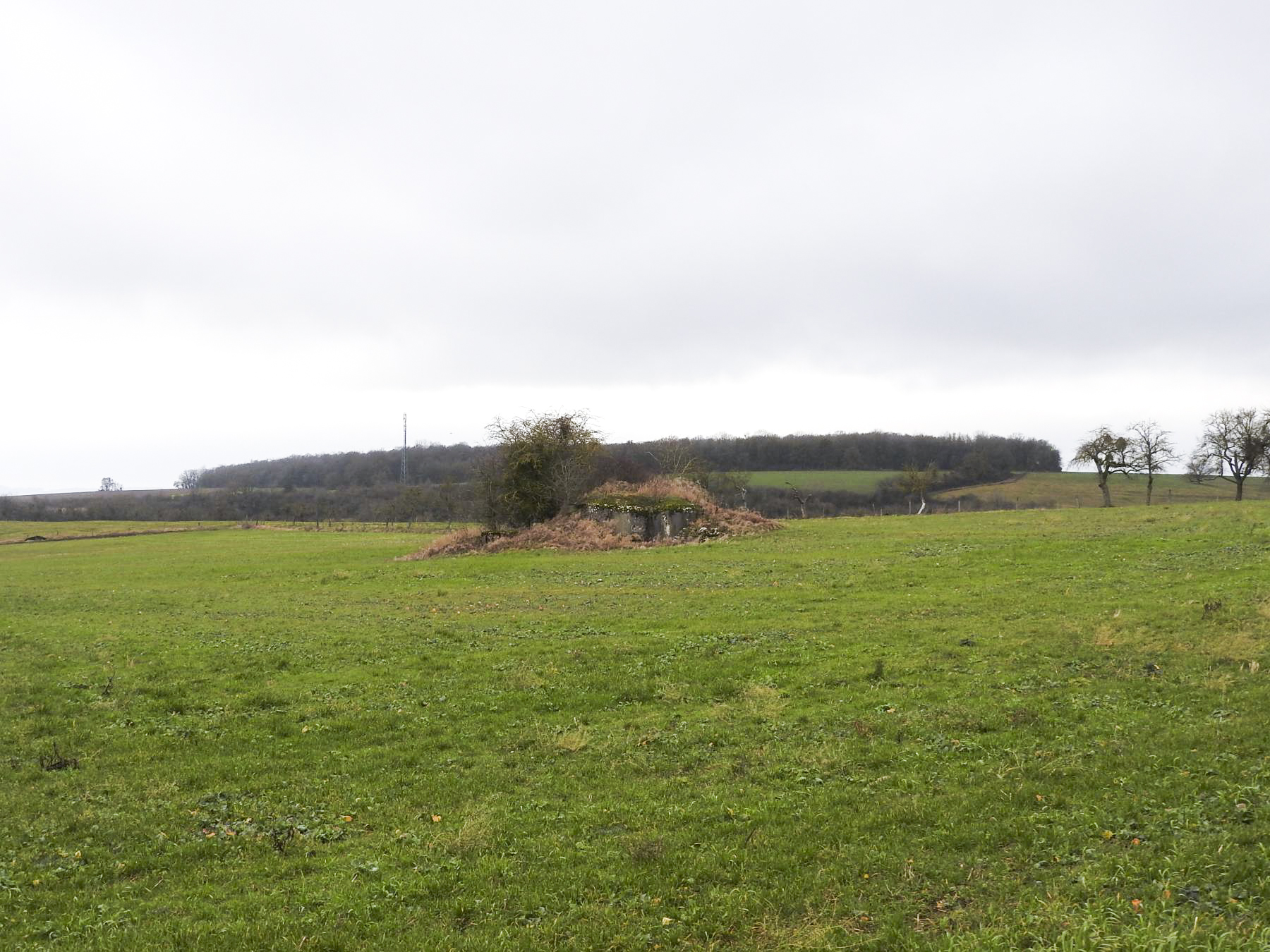 Ligne Maginot - BB25 - HEIMSTOCK EST 6 - MARCELLE - (Blockhaus pour arme infanterie) - Une vue d'ensemble - STENGER Mathieu